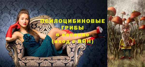 твердый Арсеньев