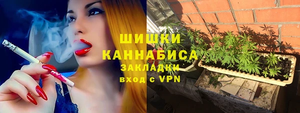 твердый Арсеньев