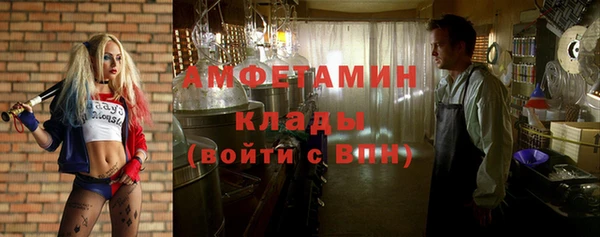 твердый Арсеньев