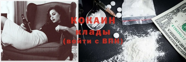 твердый Арсеньев